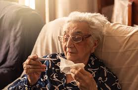 We did not find results for: Senior Fever When To Be Concerned About A Fever Belvedere Health Services