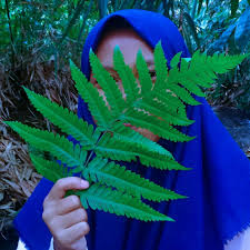 Check spelling or type a new query. Nada Rendah Pada Lagu Aku Ingin Jadi Penerbang Brainly Co Id