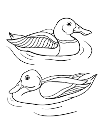 These pumpkin coloring pages are great for halloween, fall, and thanksgiving. Free Duck Coloring Page Coloring Pages Free Coloring Pages Free Coloring