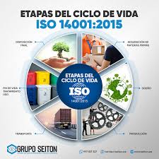 ciclo de vida