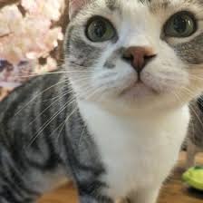 Découvrez nos nom_cat et ne manquez jamais les dernières tendances.✓students get an extra 15% off.✓free shipping on orders over ca$49+. é˜¿å® 064dg287z06b2nqd7vyncqauro0q0g ä¸ªäººèµ„æ–™ Pinterest