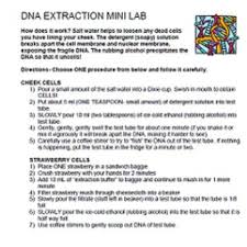 Dna Extraction Cheek Cells Or Strawberries Minilab Or Fun Chemistry Activities Human Body Activities Dna Extraction Lab