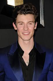 Los universales — señorita 04:01. Shawn Mendes Die Zehn Grossten Songs Des Sangers
