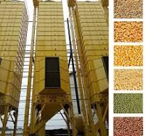 China China Factory for Sunflower Milling Machine - 5HGM-50 ...