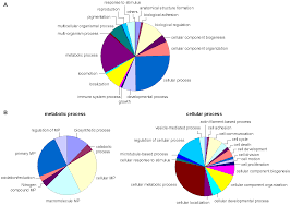 Talon incorporates a combination of bleeding edge wireless and data. Transcriptome Analysis Of The Desert Locust Central Nervous System Production And Annotation Of A Schistocerca Gregaria Est Database