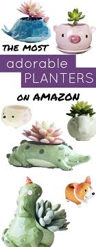 The Cutest Critter Flower Pots On Amazon Small Potted Plants Small Plants Flower Pots