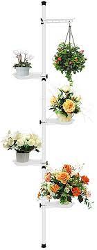 Au $109.99 | 64% off. Buy Hagienu 5 Tier Indoor Plant Pole Spring Tension Rod Corner Flower Display Rack Adjustable Plant Pot Stand Holder Telescopic Floor To Ceiling Shelf Space Saving A Online In Taiwan B08hqpxgkp