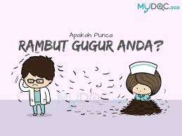 Punca rambut gugur bagi wanita dan lelaki adalah dari punca hormon dan genetik. Saya Sudah Tua Atau Ada Sebab Lain Rambut Saya Gugur Erufu Care