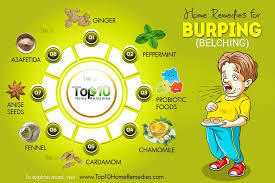 Home remedies to treat diabetes and heart ailments. How To Naturally Treat And Prevent Excessive Burping Top 10 Home Remedies Natural Remedies For Heartburn Natural Herbal Remedies Natural Heartburn Relief
