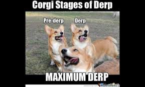 Image result for derp