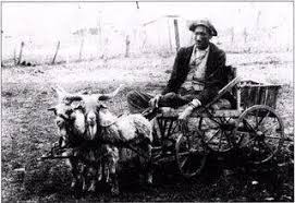 THE TALLEST PERSON EVER OF AFRICAN DESCENT