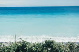 110,025 likes · 3,081 talking about this · 1,549,954 were here. ãã«ã­ã¼ãã«ã¼ã®æµ·ã¯ã¾ãã«æ¥æ¬ã®ãã¯ã¤ æ°å³¶ ã©ã¤ããã¢ãã¥ã¼ã¹