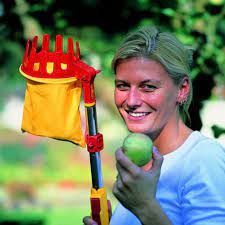 Maybe you would like to learn more about one of these? Interlocken Fruit Picker Fruit Picker Fruit Picking Fruit