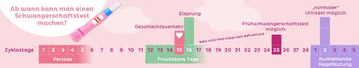 Ab wann kann man einen schwangerschaftstest machen? Schwangerschaftstest Ab Wann Moglich Netdoktor At