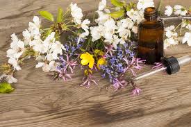 It may seem apparent why one. Flower Essences Remedies Australia What Are Flower Essences Different Types Of Flower Remedies Their Health Benefits