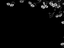 If you're looking for the best plain black background then wallpapertag is the place to be. Black Backgrounds Plain Black Wallpaper Free Powerpoint Slidebackground
