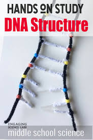 Build Your Own Dna Kids Will See How The Base Pairs Combine And It Also Models Replication By Twisting It You Can Show The Fam Dna Activities Dna Project Dna