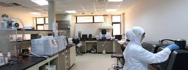 © 2021 جامعة الإمام عبد الرحمن بن فيصل. ÙƒÙ„ÙŠØ© Ø§Ù„Ø¹Ù„ÙˆÙ… Imam Abdulrahman Bin Faisal University