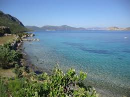 Tutugumuz Baliklar Palamut Yoreye Ozgu Eskina Ve Torik Picture Of Mavi Akvaryum Otel Sogut Tripadvisor