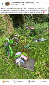 Image result for Elephantorrhiza elephantina