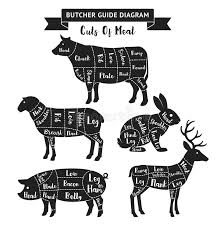 Butcher Guide Cuts Of Meat Diagram Stock Vector