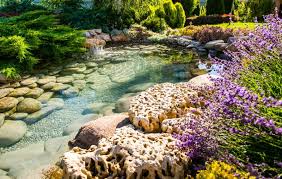 Check spelling or type a new query. 21 Inspiring Rock Garden Ideas And How To Build Your Own