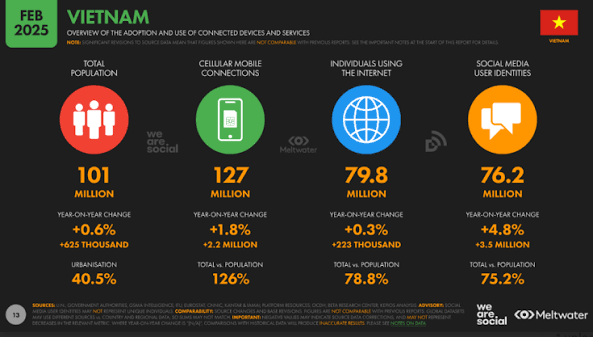 Digital Insight 2025 Vietnam Report: What do marketers need to do to break  through?