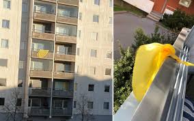 Hälsinge akademis flagga har ett kraftfullt gult kors på mörkblå botten. De Flaggar Gult For Hyreslattnader I Coronaepidemins Spar Hem Hyra