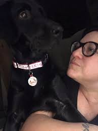 dog friendly activities in denver community