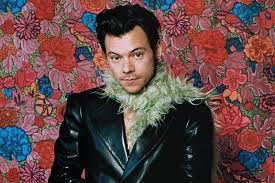 After anne's divorce with des when harry was just seven, anne growing up, harry lived in holmes chapel, cheshire, england and attended holmes chapel comprehensive school. Embjcvekenj54m