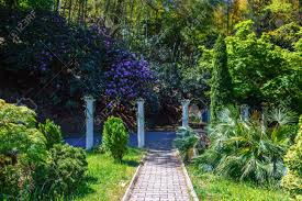 The Batumi Botanical Garden Near Batumi Georgia Adjara Beautiful Stock Photo Picture And Royalty Free Image Image 91359087