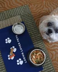 Adopt shih tzu dogs in florida. Pet Friendly Hotels Offer Room Service And Massages For Dogs