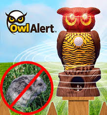 The latest tweets from owl pest control dublin (@owlpestcontrol). Owl Alert Ultrasonic Pest Repeller Pulsetv