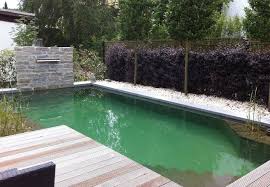 Naturpool Mit Einem Besonderen Brunnen Element Garten Von Gartner Natur Pool Schwimmteich Pool