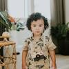 We all know teaching can be a jungle, so why not embrace the chaos by transforming your classroom into a jungle? Https Encrypted Tbn0 Gstatic Com Images Q Tbn And9gcquotqi2m1x1x45 Bn6g1lwbqbfhgxbwevn Iv4 Alimknw2sm2 Usqp Cau