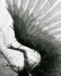 Black And White Angel Wings Aesthetic Angel Fallen And Wings Afbeelding Fallen Angel Art Fallen Angels Photography Angel Art