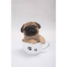 Teacup Pug Puppy Statue Teacup Pug Pug Puppy Pug Puppies