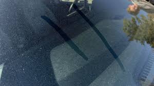 Man the pollen has exploded...