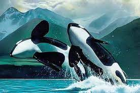 Check spelling or type a new query. 33 Animals That Mate For Life Symbols Of Love