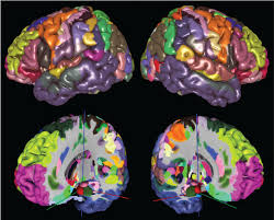 It is also the most dangerous. Biological Bases Of Mind And Behavior