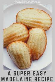 Day With Dee Nyc Bowery The Best Madeleine Not Madeline Recipe Madelines Recipe Madeleine Recipe Recipes