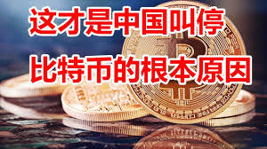 Image result for 比特币