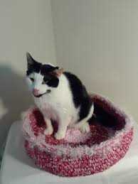 Cat Bed Pet Bed Small Round Cat Bed Crocheted Cat Bed Cat Bedding Crocheted Cat Bed Basket Washable Cat Bed Soft Si Cat Bed Crochet Cat Bed Crochet Cat