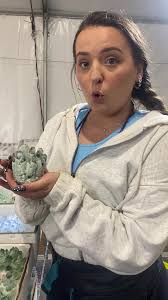 Delia Crystals St Paul Mn