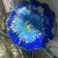 Fused Glass Flowers event image
