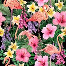 We did not find results for: Premium Vector Seamless Pattern With Compositions Of Hand Drawn Tropical Flowers Palm Leaves Jungle Plants Paradise Bouquet With Exotic Birds Beautiful Colorful Floral Endless Background