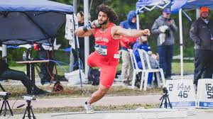 Image result for Isachne buettneri