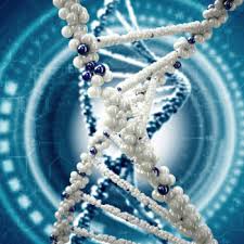 Researchers found that people who had a high genetic risk for alzheimer's and who followed unhealthy lifestyles had nearly triple the odds of . Can You Change The Course Of Your Genetic Risk For Alzheimer S Being Patient