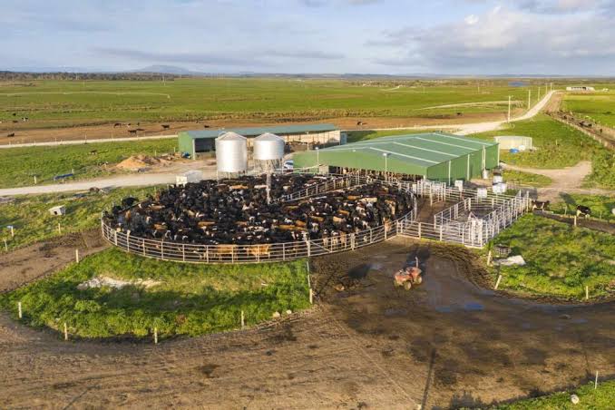 Tasmanian government demands PM reverse sale of state's biggest farm - Pulse Tasmania