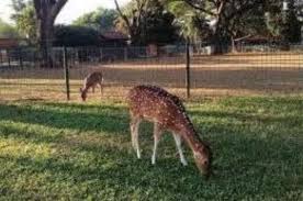 Jul 01, 2021 · seorang anak tengah memberi makan rusa di area luar taman balekambang, solo, jawa tengah. Rekomendasi Libur Akhir Pekan Tidak Perlu Ke Luar Kota Cukup Nikmati 5 Tempat Wisata Di Bekasi Pikiran Rakyat Bekasi Halaman 3